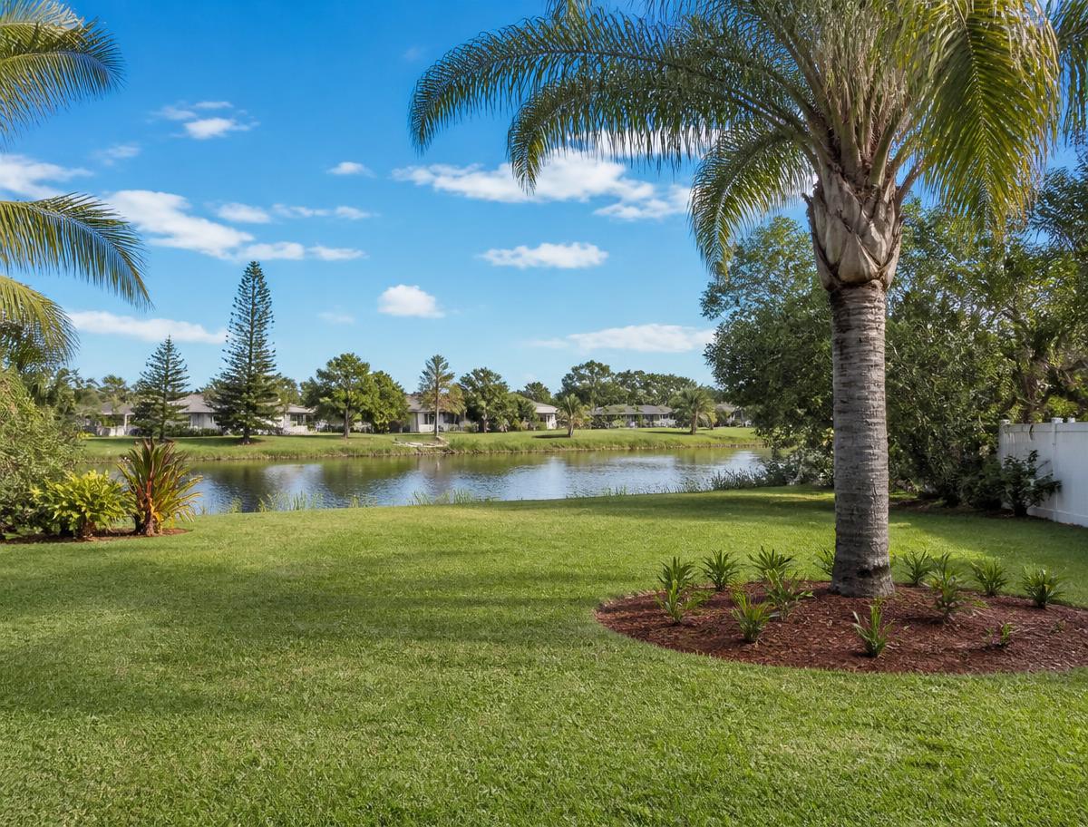 Storm Damage & Stump Grinding — Cape Coral — after photo